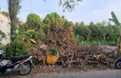 Cần tiền bán Gấp 35 công đất Tuyệt đẹp lộ ô tô chỉ 110 triệu/công