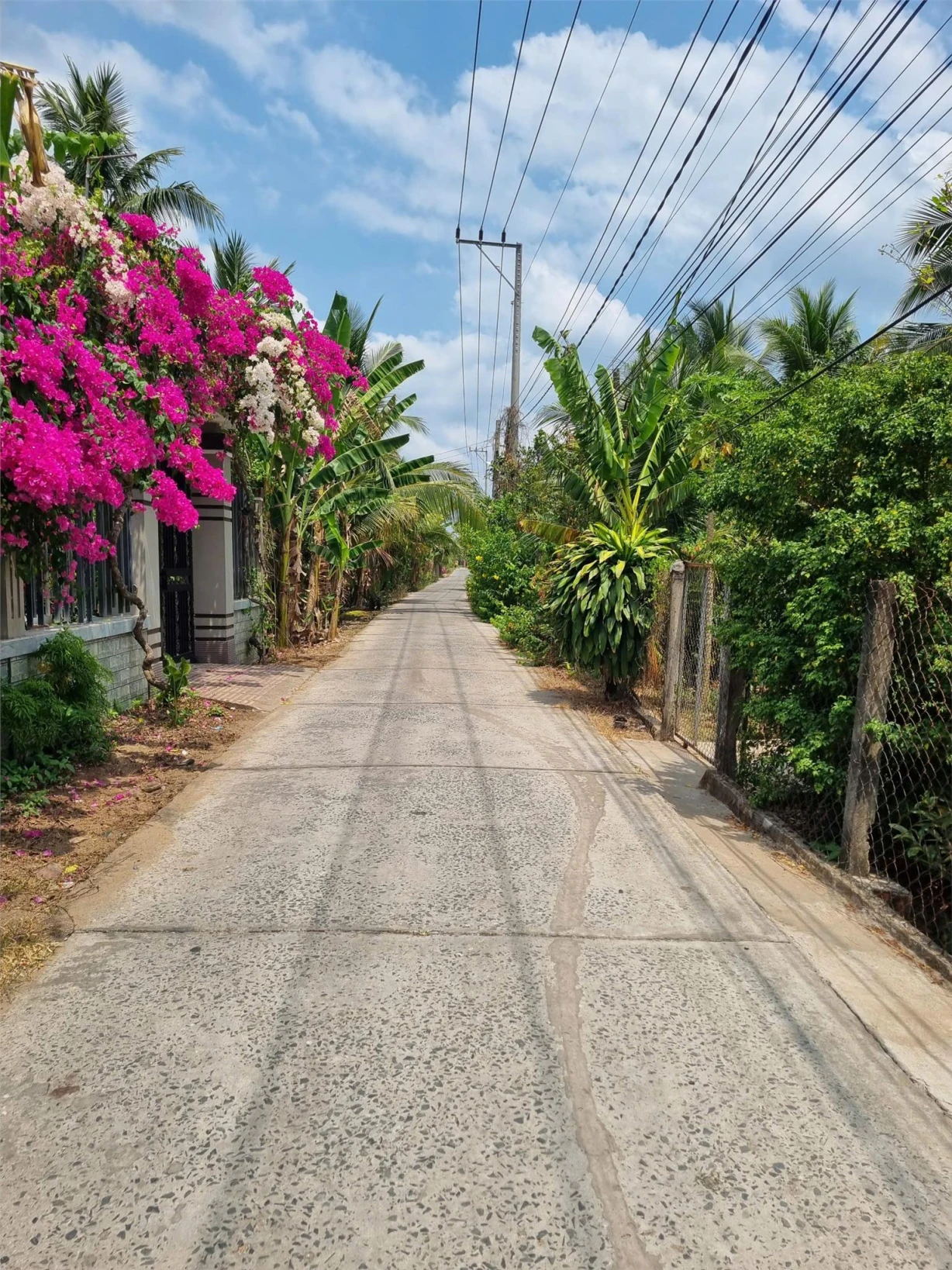 Chỉ 768 triệu -sở hữu hộ khẩu TP Bến Tre, an tâm lập nghiệp