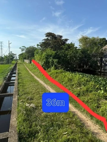 Phun thổ cư 844m2 hơn 1000m2 cây lâu năm