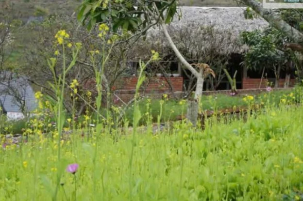 Bán đất 2300m2 có 200m2 thổ cư tại Bản Hẹo , Chiềng Sinh , thành phố Sơn La