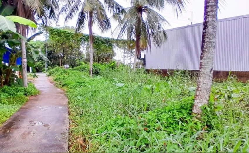 NỀN ĐẸP MẶT TIỀN ĐƯỜNG LÝ VĂN LÂM – CHỈ 3XXTR/M NGANG – CÁCH BẾN TÀU A 500M