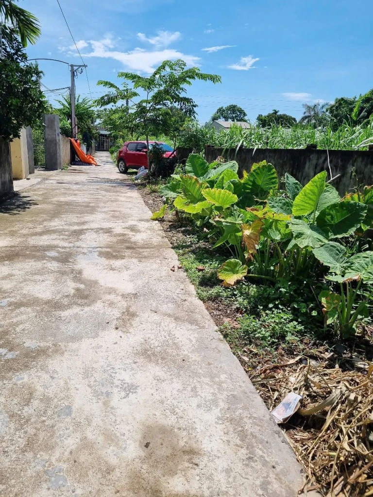 Chủ gửi bán mảnh đất đấu giá Mộc Bắc, Duy Tiên. 129m, mặt tiền 8m.