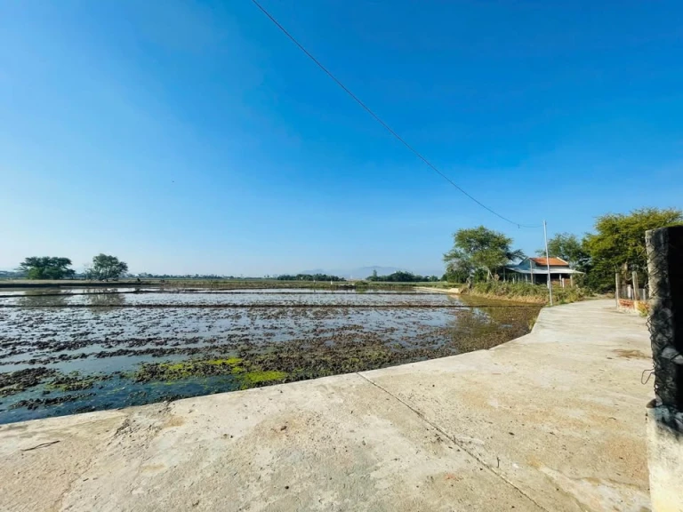 E có 2 xào ruộng đất full Hồng sát nhà dân tại Phước Thuận.