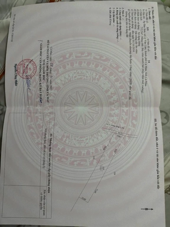 Bán nền vị trí cách cầu 9 duyên khoảng 50m  Hiện trạng lộ đang làm ,nâng cấp lớn