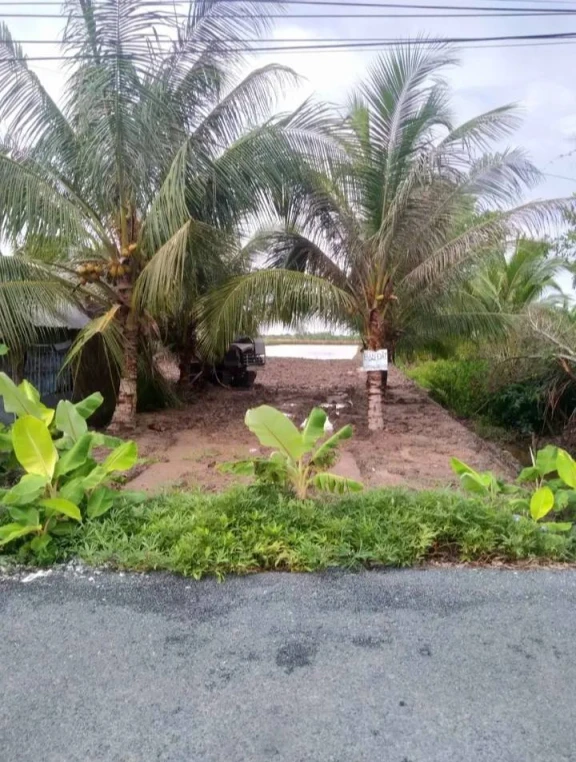 Do đất vườn không canh tác nên bán miếng đất:  * Từ cổng chợ Nhà Phấn vô đường Lung Lá Nhà Thể 1km, gần trường mẫu giáo, cấp 1, cấp 2 thuận tiện cho con em đi học.