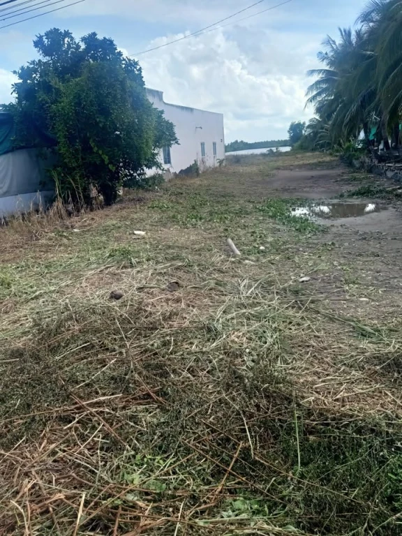 Cần bán đất diện tích 10x60m, có 200m đất ở, mặt tiền kinh mới p9 cà mau, đường ô tô, cách chợ p9 1000m. Liên hệ 0918600604