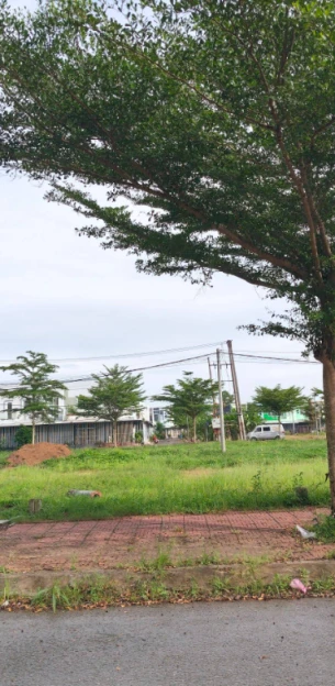 6 YẾU TỐ ĐỂ CHỌN 1 BẤT ĐỘNG SẢN SINH LỜI