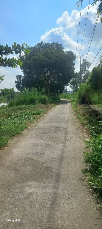 E cần bán nền lớn 21 x 45  Khóm 1 phường Tân xuyên ( nay thuộc phường An xuyên)