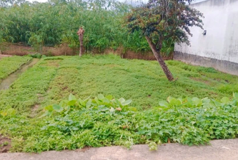 Bán Nền Đẹp 100% Đất Ở – Nhánh Trương Vĩnh Nguyên, P. Phú Thứ, Q. Cái Răng