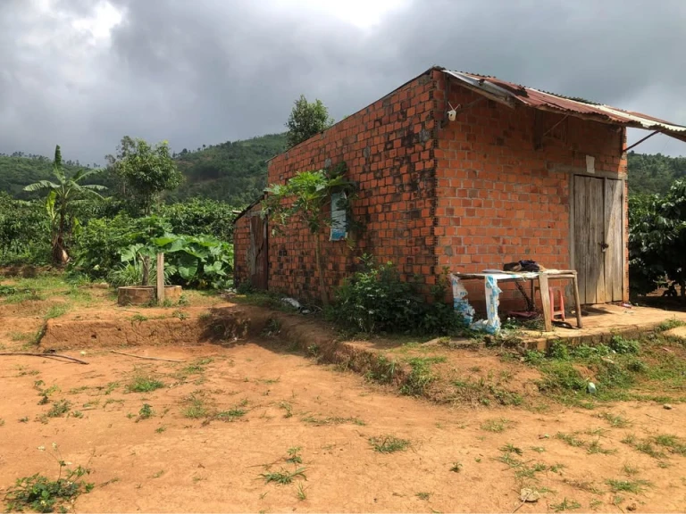 LẠI 1 LÔ GIÁ TỐT CHO ACE NÀO NHANH TAY NÀO