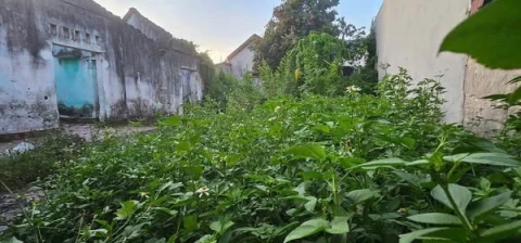 Bán nhanh lô đất vuông đẹp Trung tâm Phường Đông Sơn - Rừng Thông.