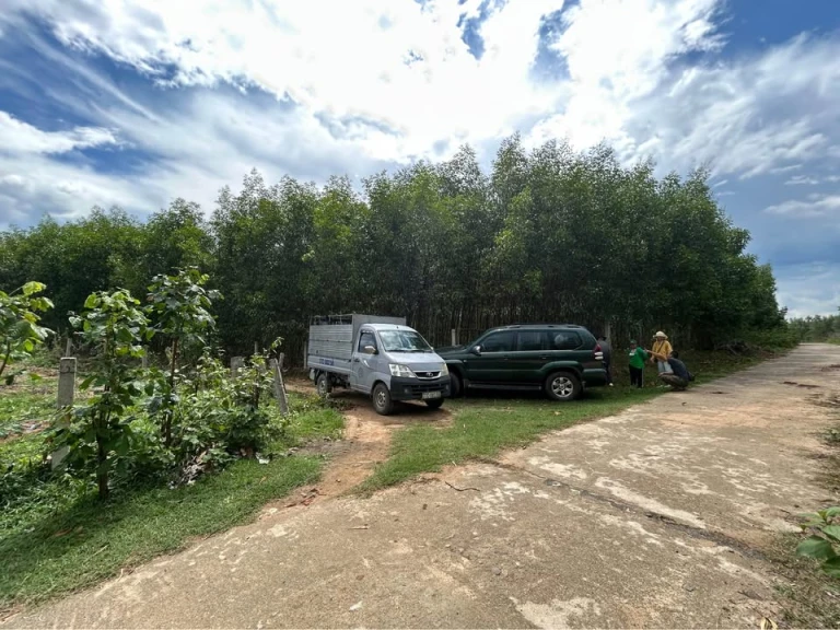 Bán lô đất 4,177m² , Đất Phong Thuỷ Tốt, View Núi Vân Canh, Binh Định