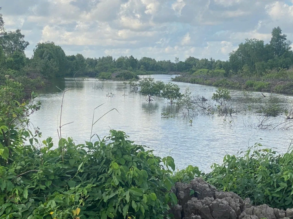 Bán đất nuôi trồng thủy sản