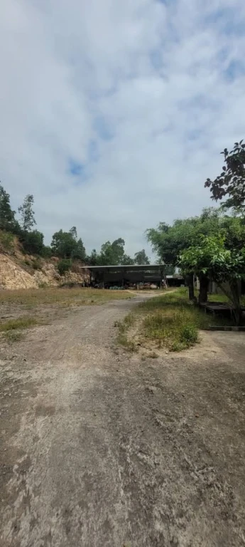 Cho thuê đất và nhà xưởng