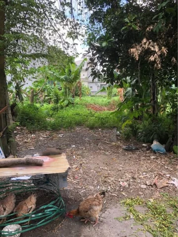 NHỈNH HƠN 1ty CÓ NGAY LÔ ĐẤT