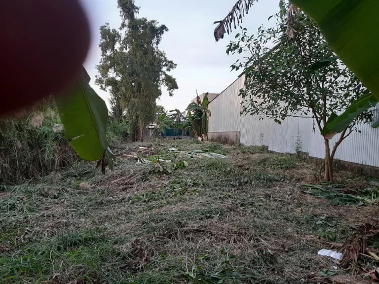 Đất ngang 10m mặt tiền dài 55 m, có 1 lối đi 1m phía sau thông tới lộ sau.