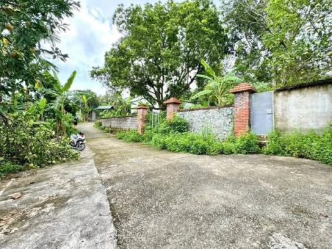 BÁN 1300m² ĐẤT ĐẸP TẠI LÂM SƠN – LƯƠNG SƠN-PHÚ THỌ