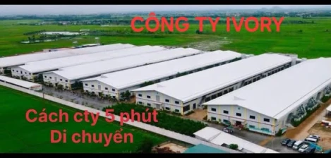Cần bán 6 lô đất giáp sân bay THọ Xuân