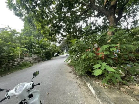 Đất trung tâm ngay gần Go Thanh Hoá khu dịch vụ Vincom xung quanh rất nhiều tiện ích mặt ngõ lớn