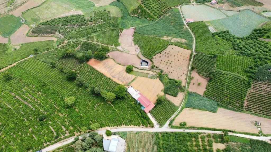 🌿 BÁN ĐẤT VIEW CHÈ MỘC CHÂU – 5.000M² (400M² THỔ CƯ) – SẴN AO, NHÀ Ở 🌿 🌿 BÁN ĐẤT VIEW CHÈ MỘC CHÂU – 5.000M² (400M² THỔ CƯ) – SẴN AO, NHÀ Ở 🌿