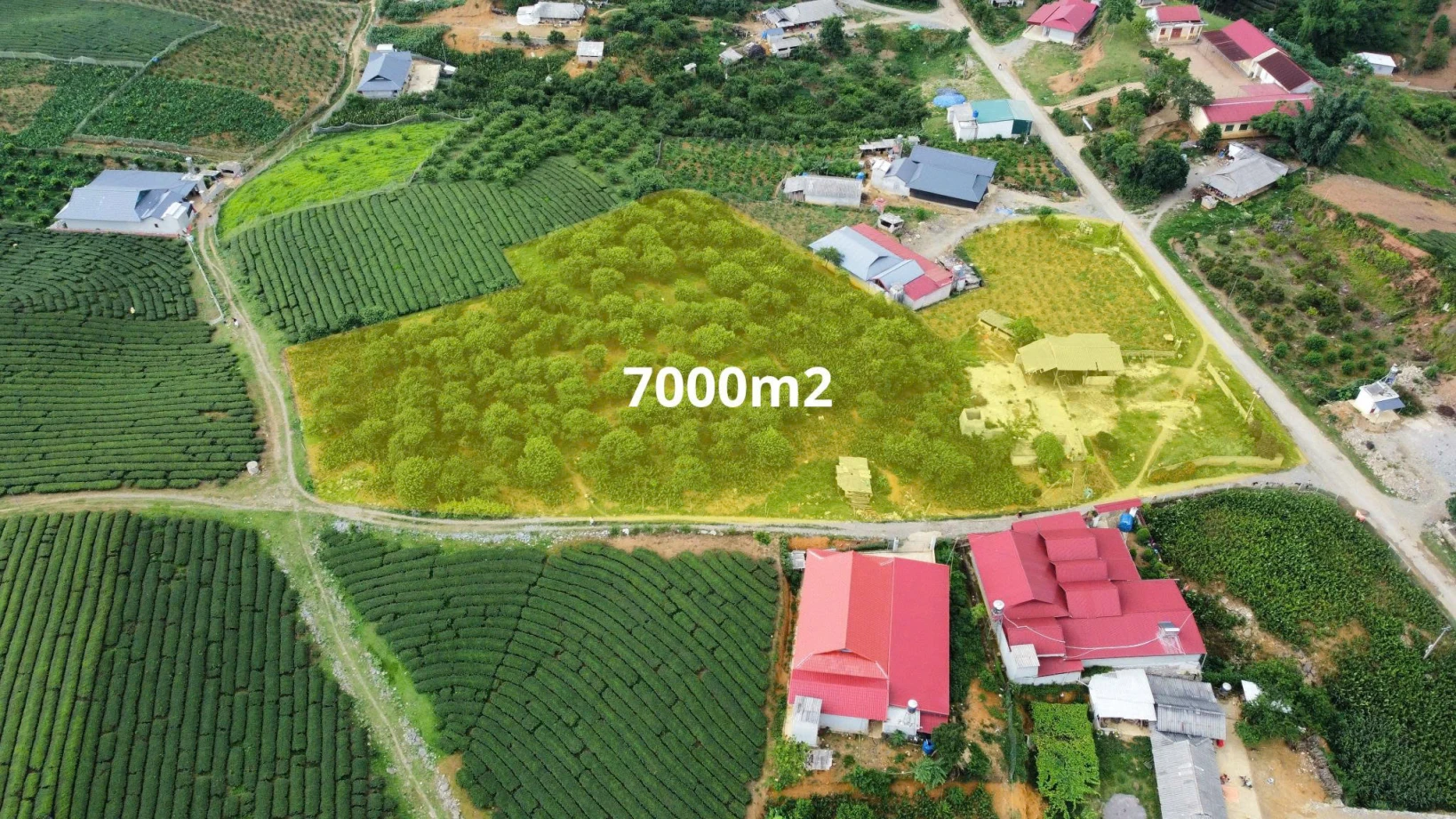 Sở hữu 7.000m² đất Mộc Châu chỉ với 4,8 tỷ – Làm farmstay, nghỉ dưỡng cực đẹp