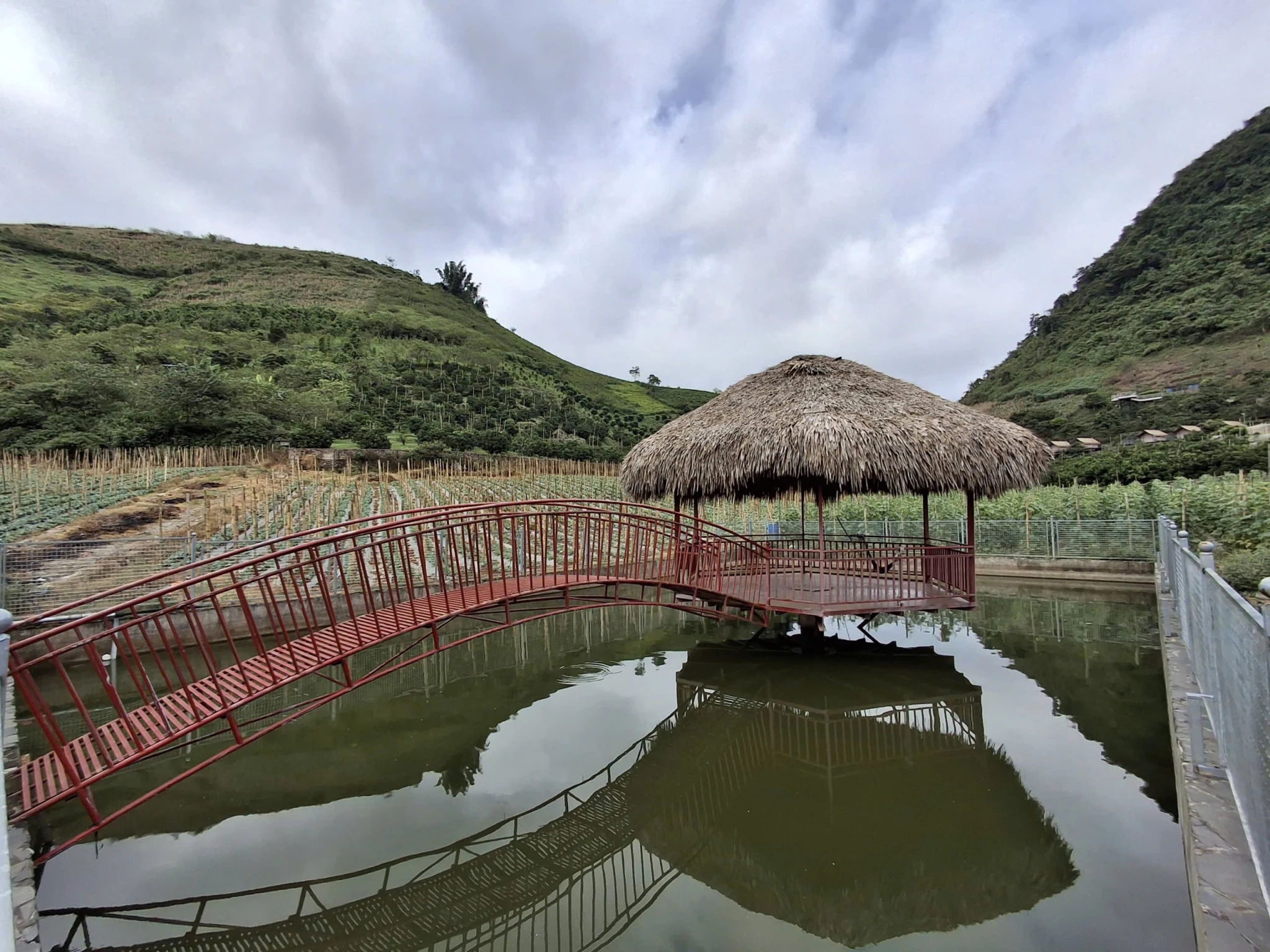 🔥 Bán đất view chè Mộc Châu – Gần 1Ha, 600m² thổ cư! 🔥