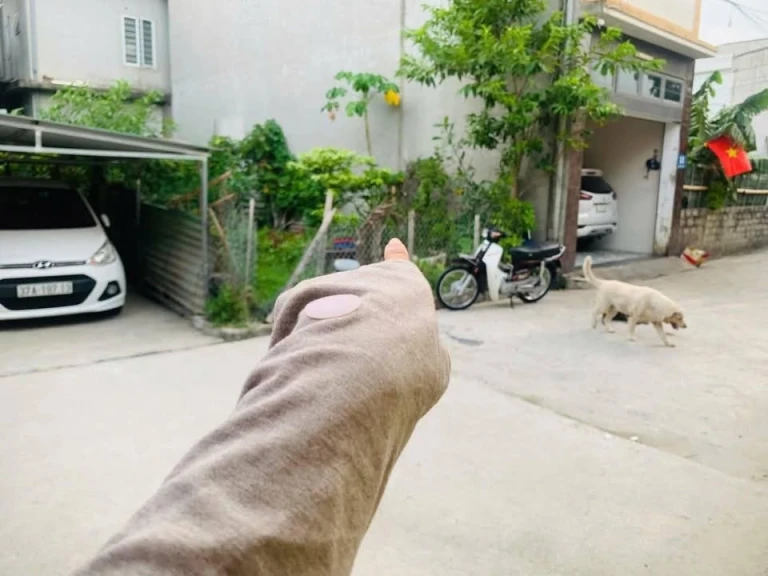 Tiền Bán đất khối 8 quán bàu