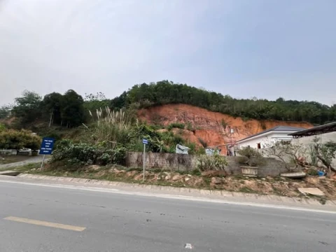 Tài chính ít đầu tư vùng là thắng  🔋Bán 3 lô đất liền nhau dài miên man, Rộng mênh mông