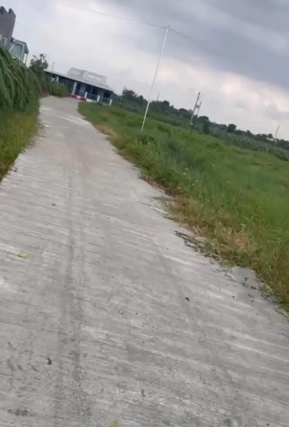 Khách cần tiềm vài trăm mét đến 1 xào đất CLN Kim Bình hàm thắng gần gần phan thiết