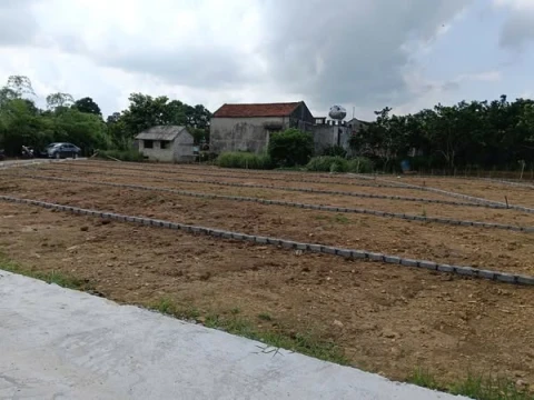 E chính chủ cần pass nhanh lô