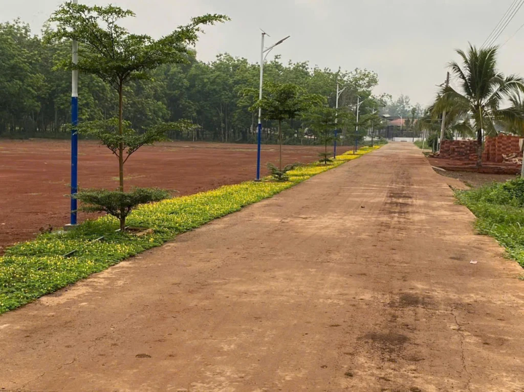 Kẹt tiền bán gấp 2 lô đất tâm huyết, chỉ 1,7 triệu/m2