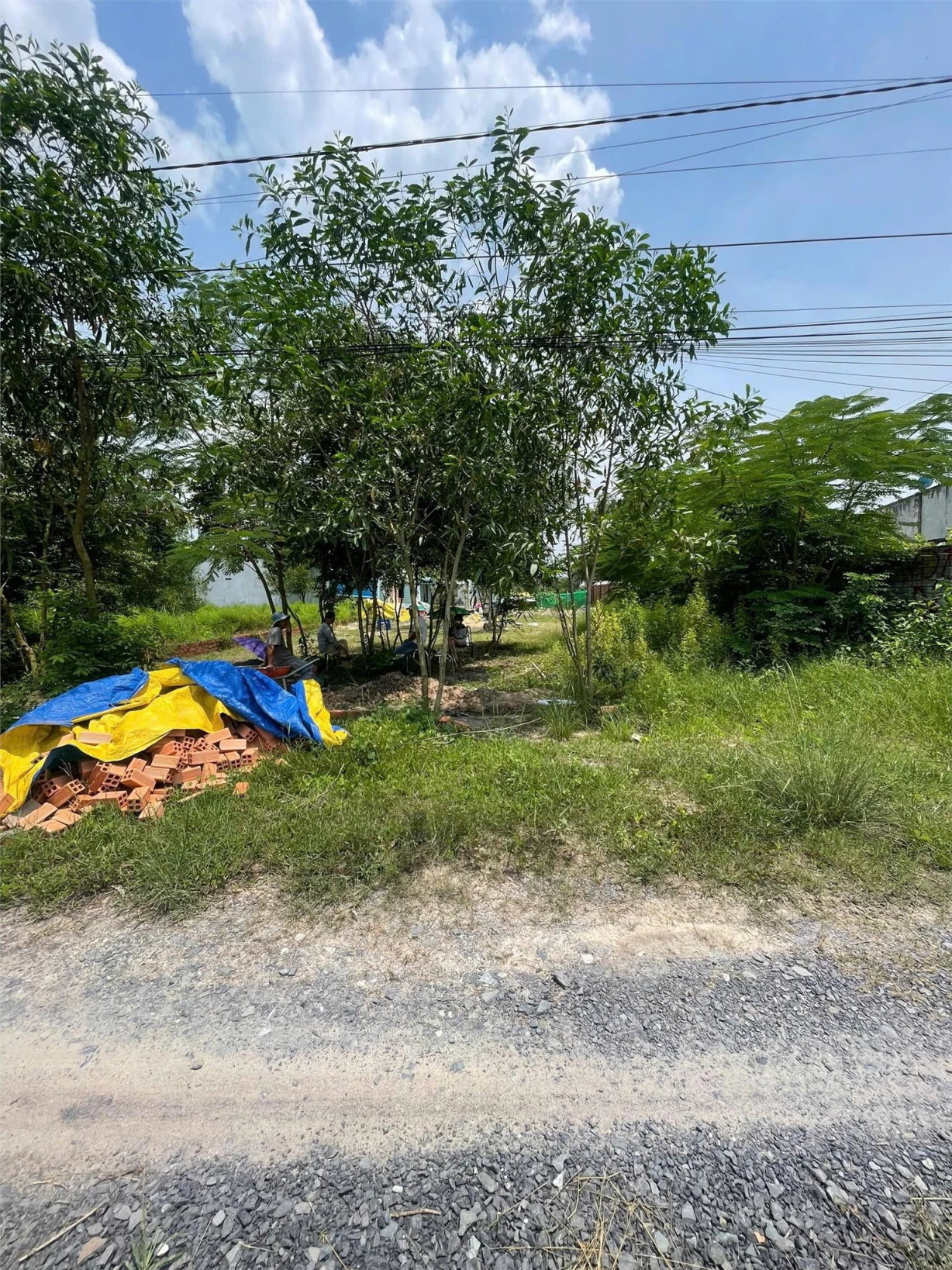 Bán đất ấp Thanh Hoà, Xã Thanh Điền, Châu Thành, Tây Ninh