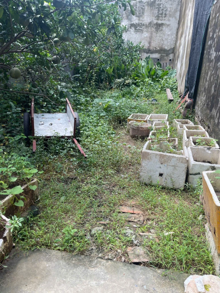 Vĩnh Quỳnh 9.45 tỉ đất