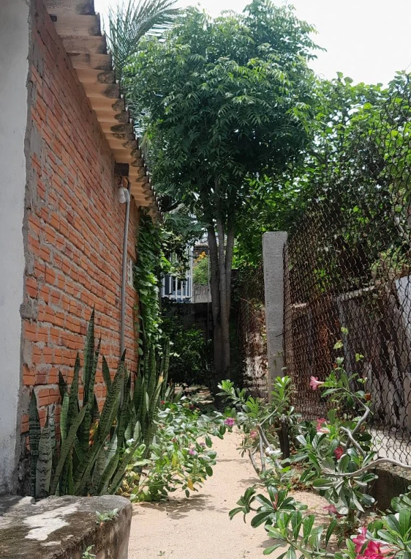 Biệt thự đơn lập 400 m.   Mặt tiền 13m sâu 30m.