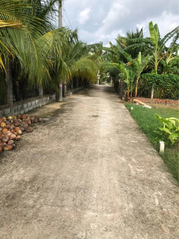 Đất nền chính chủ 710triệu