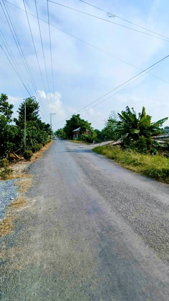 Sang nhượng nền 5,5m × 26 m ( cây lâu năm)