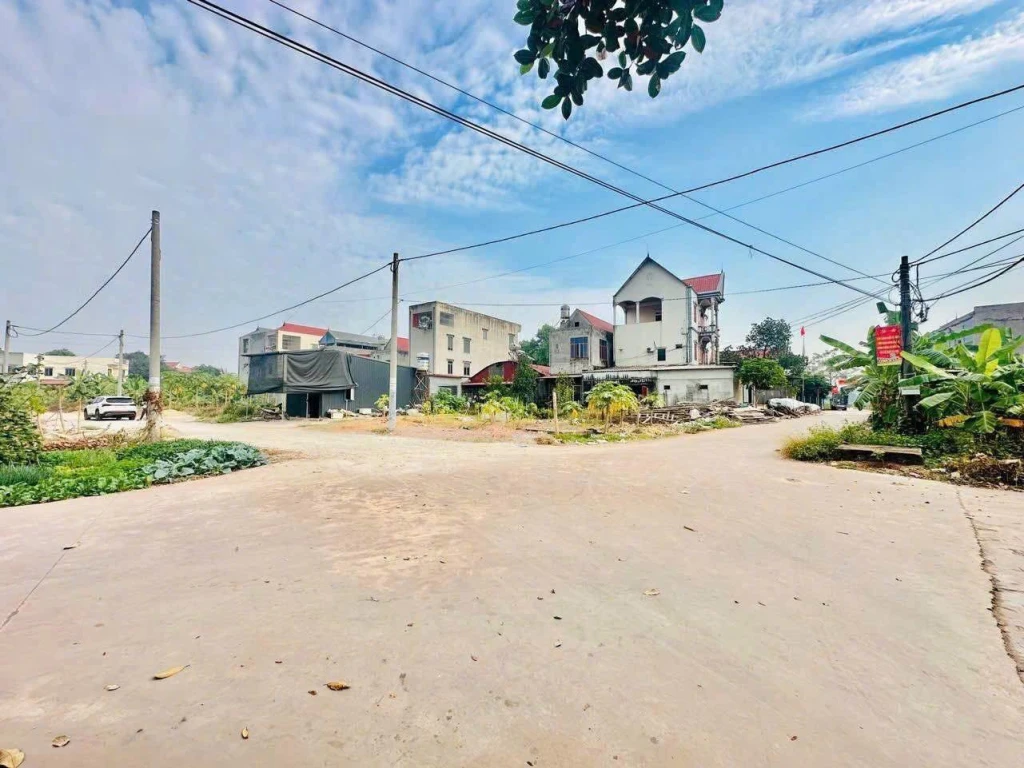 đấu giá Hương lạc Lạng giang 110m