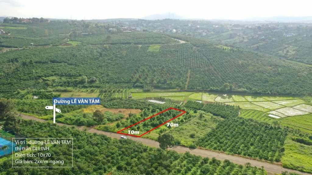 BÁN ĐẤT MẶT TIỀN LÊ VĂN TÁM – DI LINH, LÂM ĐỒNG - 700m2 GIÁ CHỈ 2 TỶ 500 TRIỆU