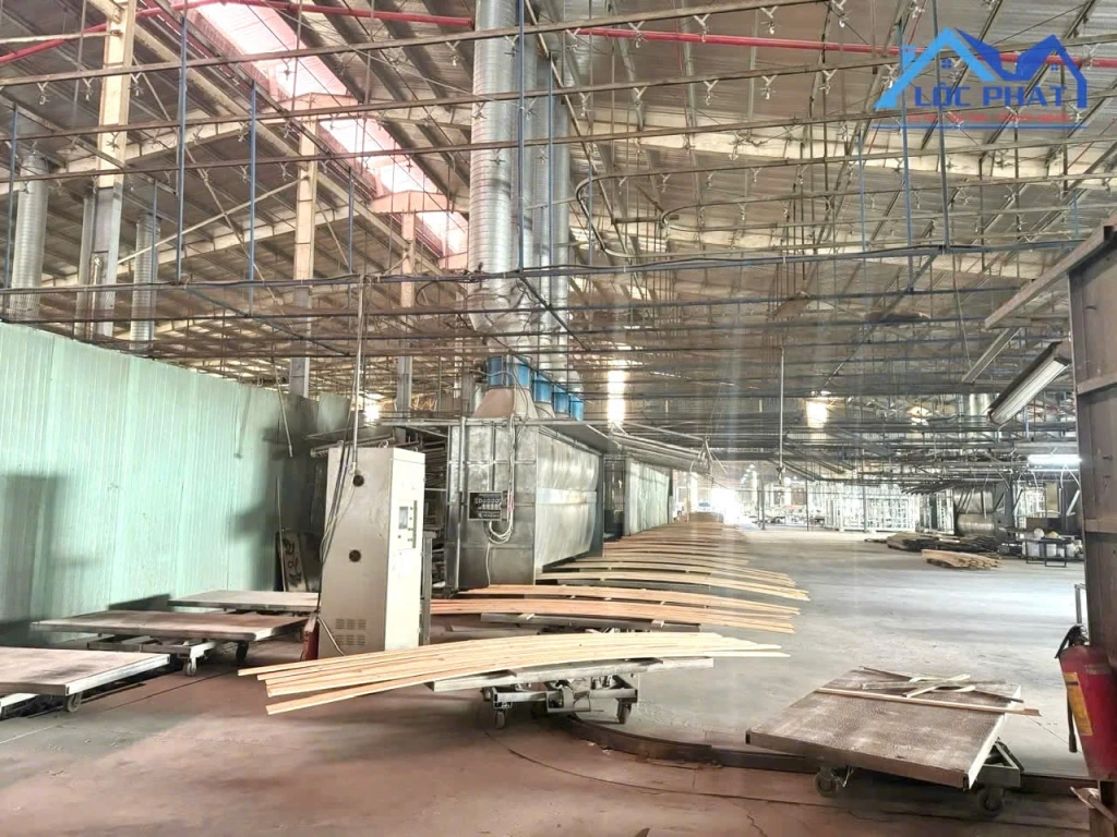 Cho thuê xưởng gỗ 5000m2 có chuyền sơn P Tam Phước, Đồng Nai giá 3,5usd/m2