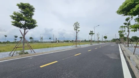 💢KĐT Hoàng Lý , gần khu DH Nam Cao, sát KCN Đồng Văn,