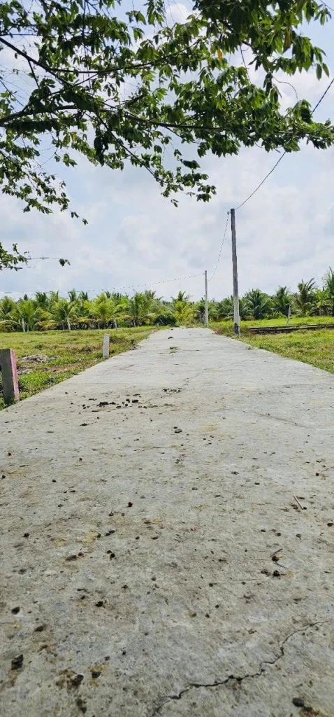 Nền đất biệt thự Phú Hưng TP Bến Tre nay là Phú Khương, Vĩnh Long Nền đất biệt thự Phú Hưng TP Bến Tre nay là Phú Khương, Vĩnh Long