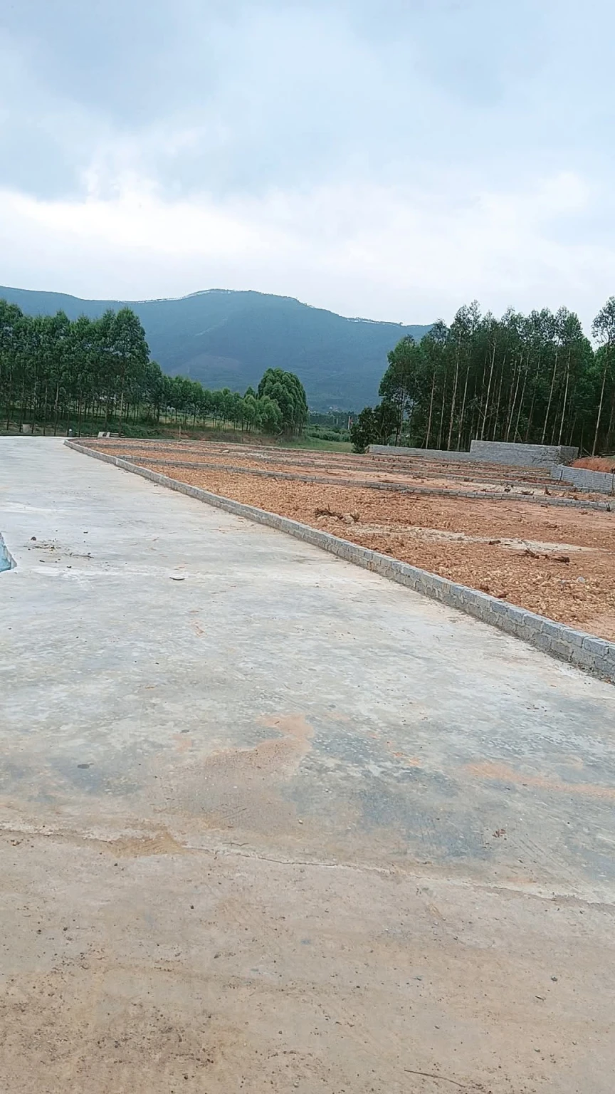 Rẻ Bất Ngờ - 3XX - Một Lô Wiu Hồ đẹp Rẻ Bất Ngờ - 3XX - Một Lô Wiu Hồ đẹp