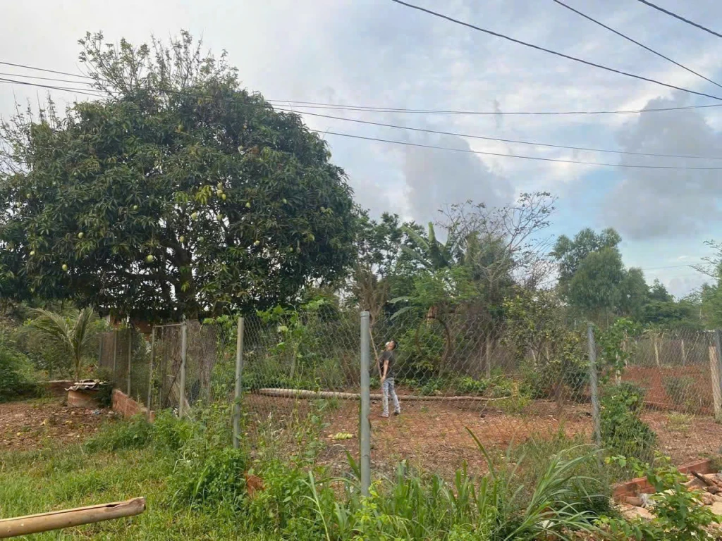 BÁN LÔ ĐẤT  TẠI PHƯỜNG TAM LONG -TP HỒ CHÍ MINH (XÃ LONG PHƯỚC -TP BÀ RỊA CŨ) BÁN LÔ ĐẤT  TẠI PHƯỜNG TAM LONG -TP HỒ CHÍ MINH (XÃ LONG PHƯỚC -TP BÀ RỊA CŨ)