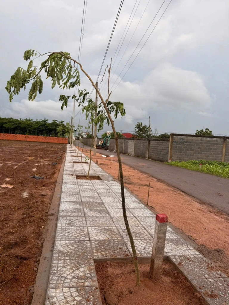 Cách quốc lộ có 50m . Đường nhựa , vỉa hè tại nghĩa thành- châu đức “ mới “ đá bạc “ cũ”