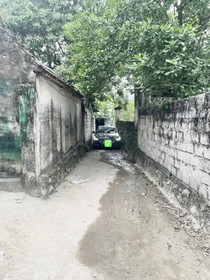 🏢 Đất giá rẻ – Cơ hội đầu tư sinh lời cao