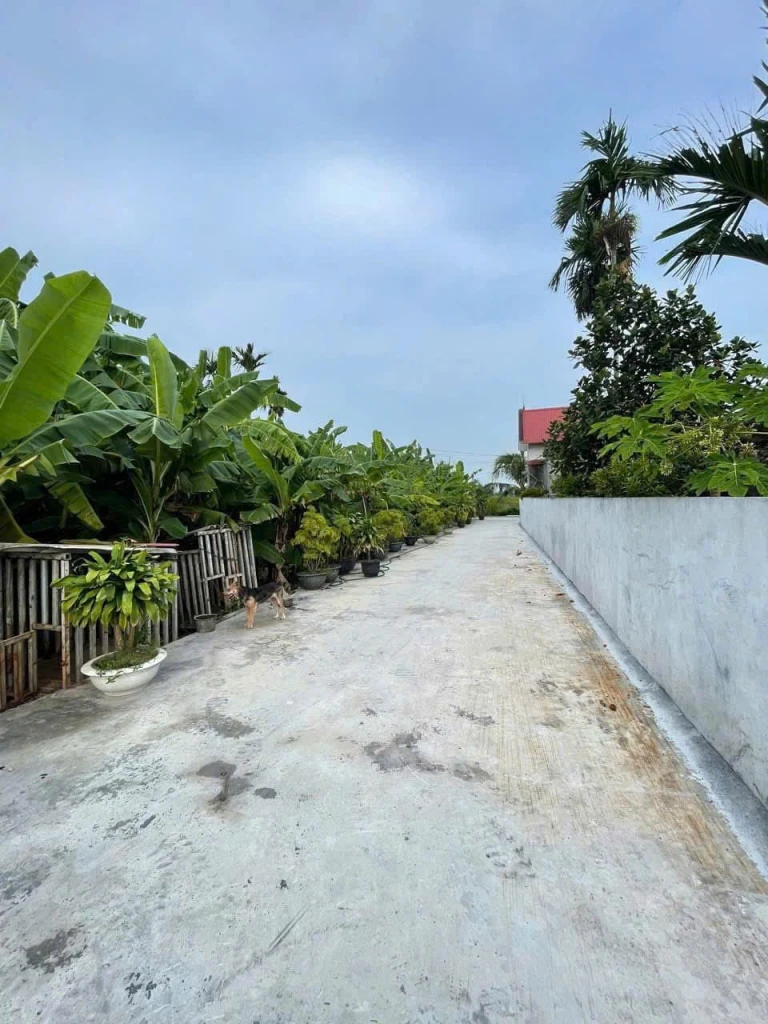 6xx  triệu 65m2 Lão Phú Tân Phong Kiến Thụy Zalo 0567222555