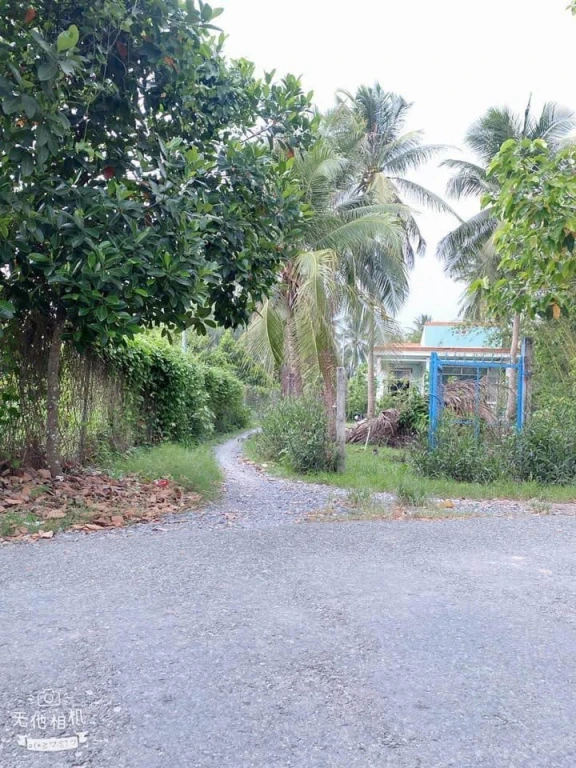 Bán Nền Xã Sơn Đông - Tp Bến Tre