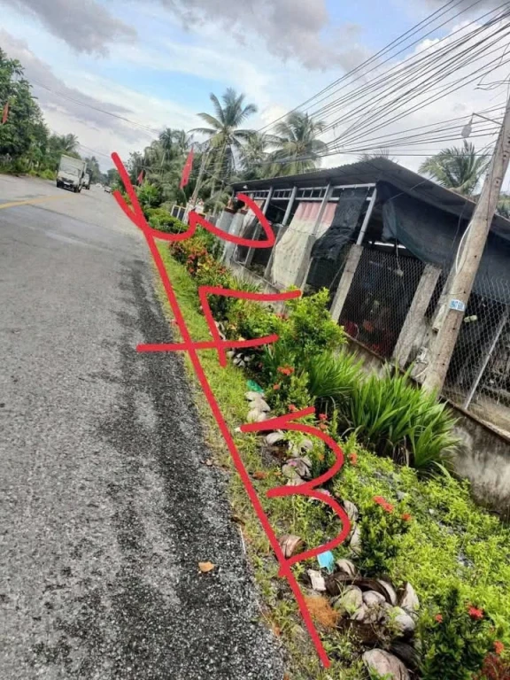 Chủ cần bán gấp 1143 m tặng căn nhà cấp 4 mặt tiền đường nhựa tỉnh lộ 883