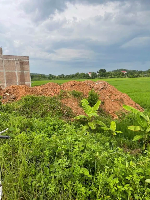 Cc e bán lô đất tại Tân sơn- Quỳnh sơn - Yên dũng