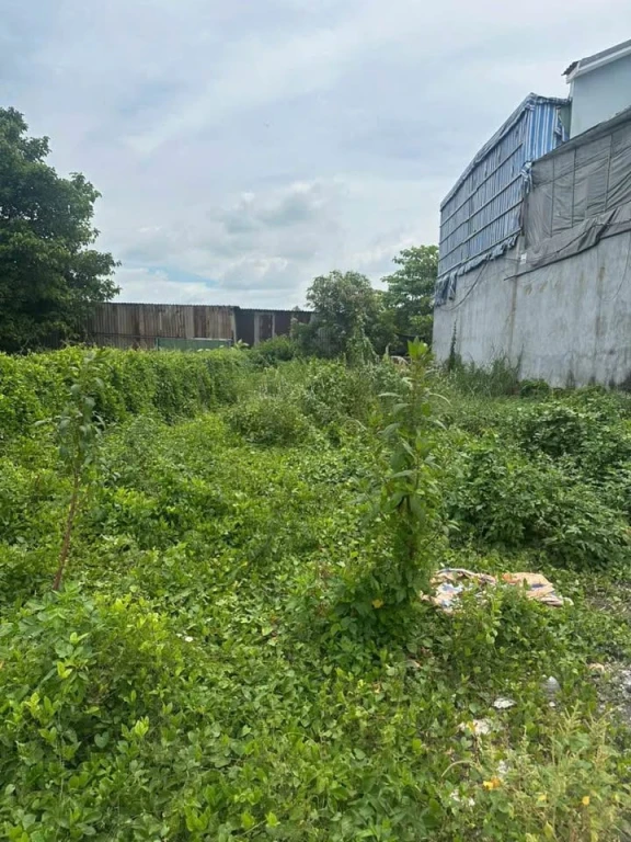 Đất thổ cư , xây dựng tự do , Cách trung tâm thị trấn Cần Giuộc